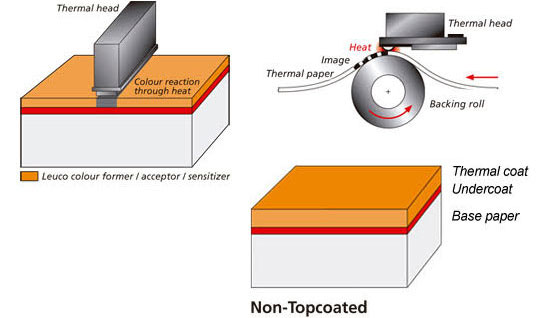Thermal Paper